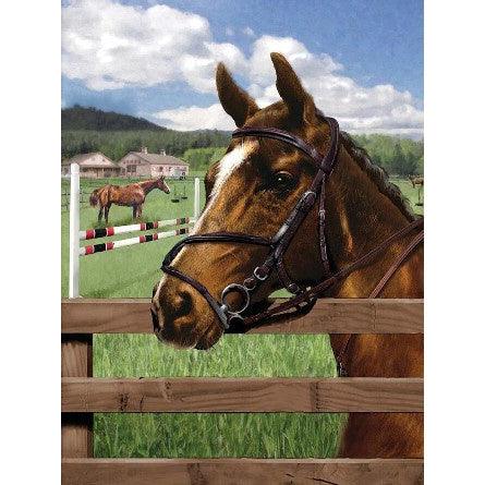 Royal & Langnickel Paint by Numbers Equine Paddock