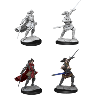 Critical Role Unpainted Mini - Half-Elf Xhorhas Paladin 90390