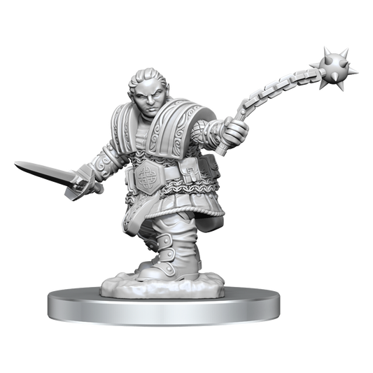 D&D Unpainted Mini - Dwarf Fighter Female 90406