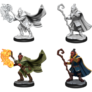 Critical Role Unpainted Mini - Hobgoblin Wizard/Druid Male 90389