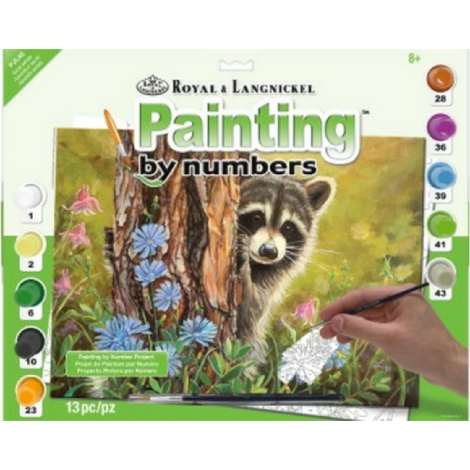 Royal & Langnickel Paint by Numbers Secret Admirer (Raccoon/Tree/Flowers)